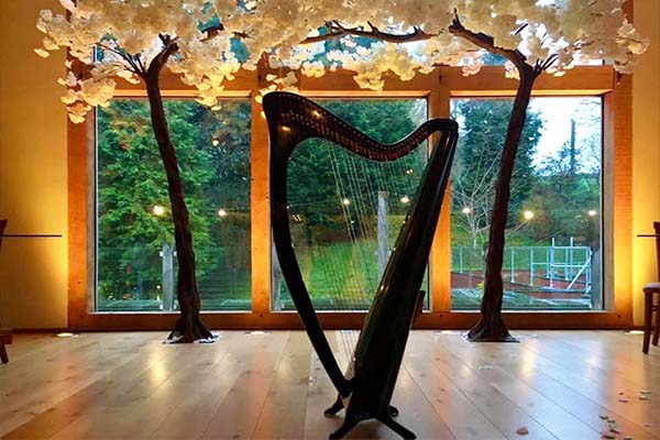 A harp - all types of wedding hire and accesories